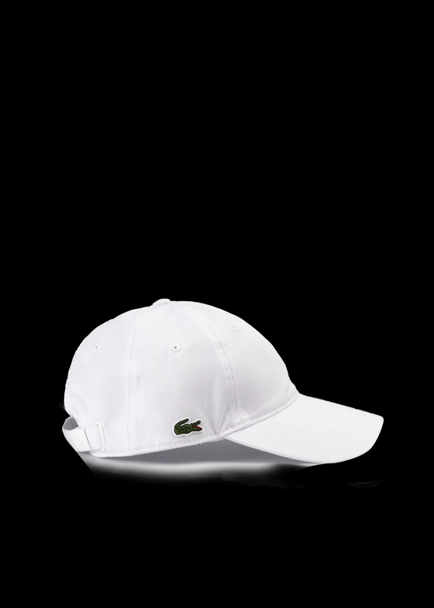 lacoste_pet_6.webp Lacoste Pet*Vanilia Store